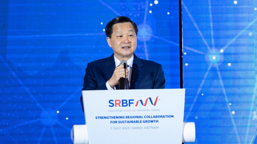Singapore - Việt Nam trở thành hình mẫu để thúc đẩy cơ chế hợp tác kinh tế